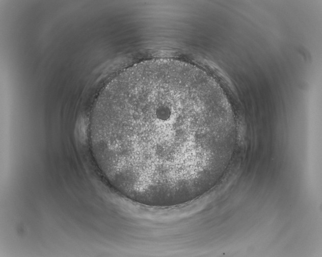 X0000110870026200907301422