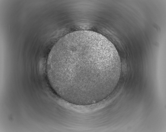 X0000110870030200907301422