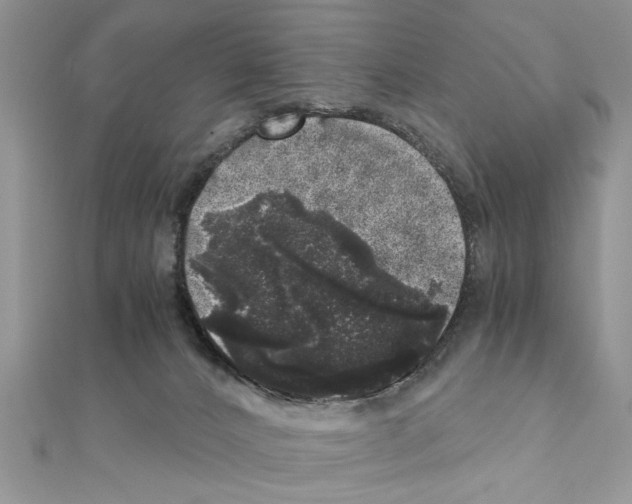 X0000110870032200907301422