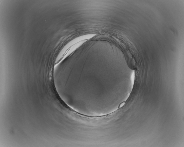 X0000110870035200907301422