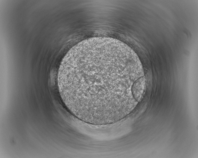 X0000110870038200907301422