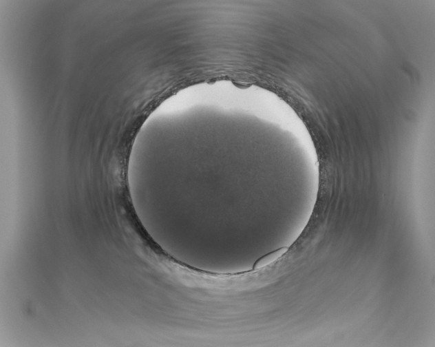 X0000110870039200907301422