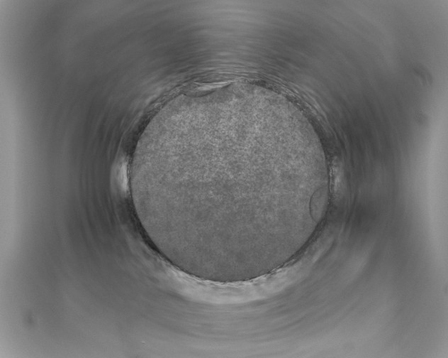 X0000110870042200907301422