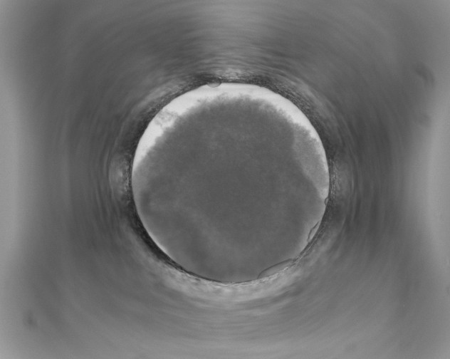 X0000110870043200907301422