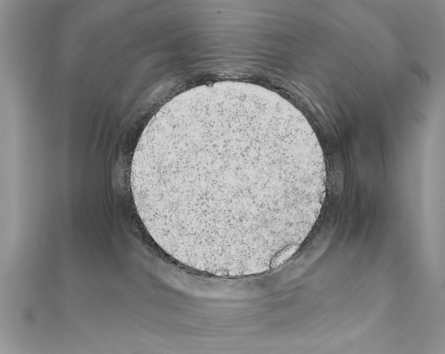 X0000110870044200907301422