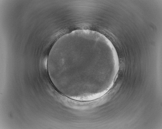 X0000110870047200907301422