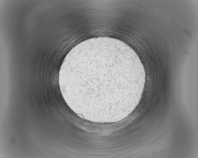 X0000110870048200907301422