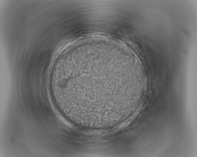 X0000110870049200907301421