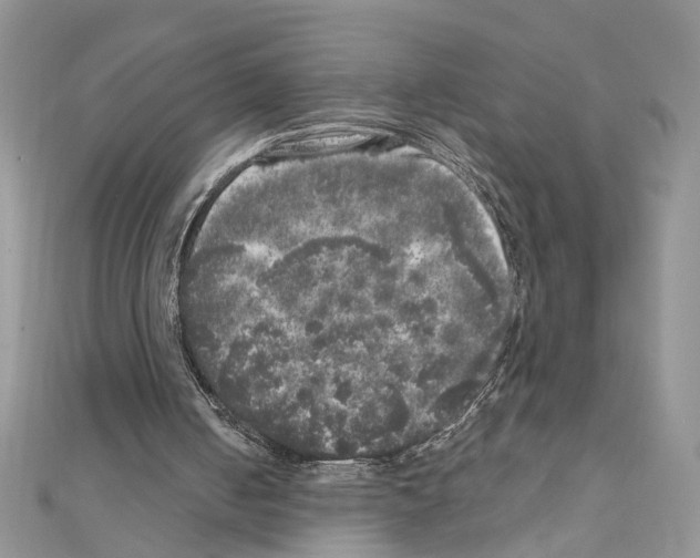 X0000110870050200907301421