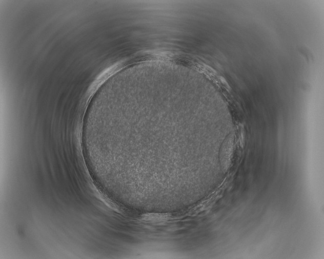 X0000110870051200907301421