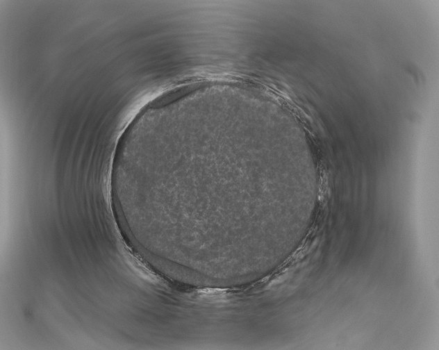 X0000110870052200907301421