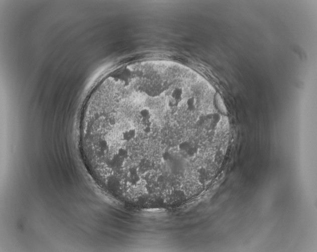 X0000110870053200907301421