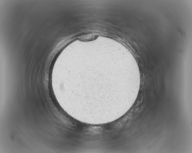 X0000110870055200907301421