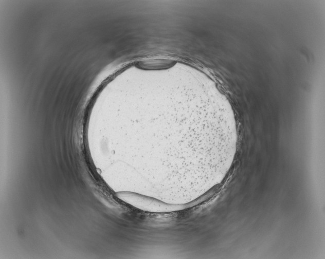 X0000110870056200907301421