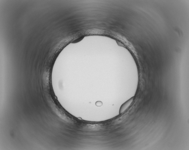 X0000110870057200907301421