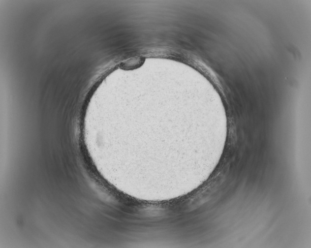 X0000110870059200907301421