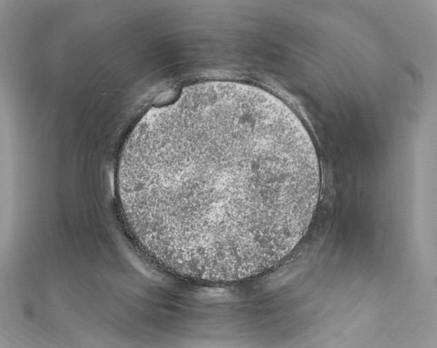 X0000110870061200907301421