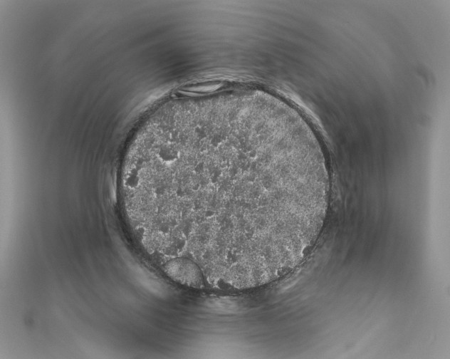 X0000110870062200907301422