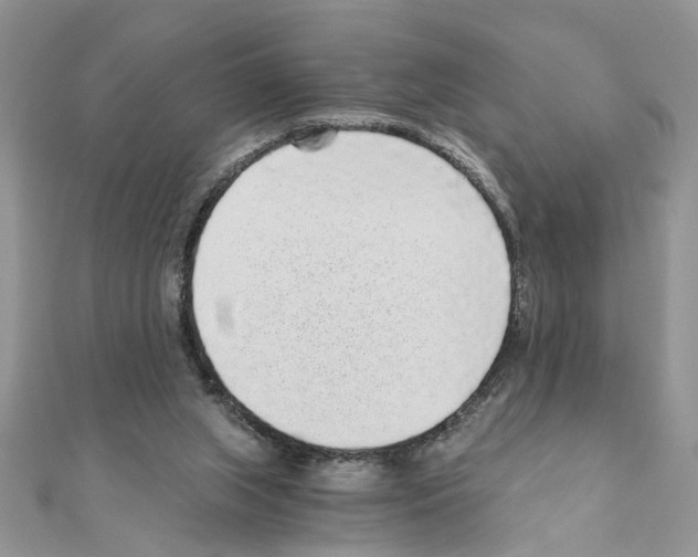 X0000110870063200907301422