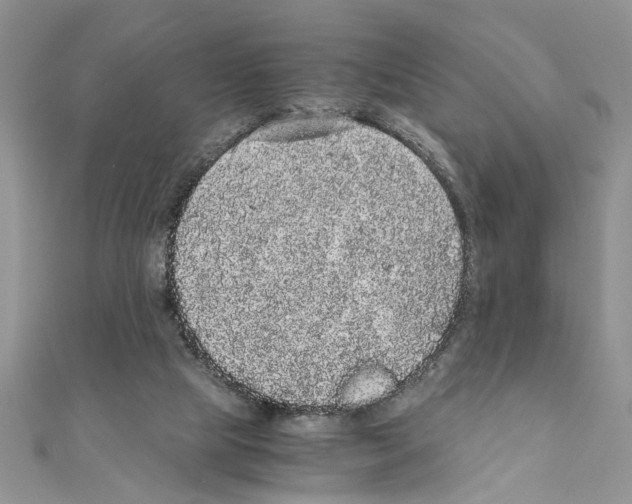 X0000110870065200907301422