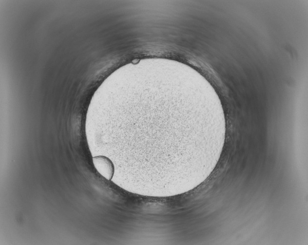 X0000110870066200907301422