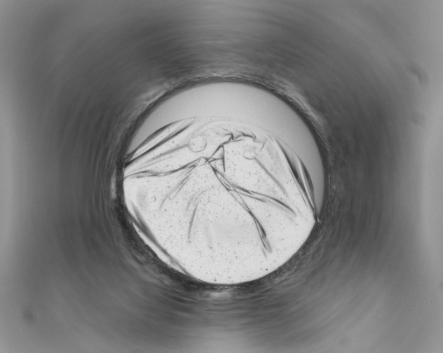 X0000110870068200907301422