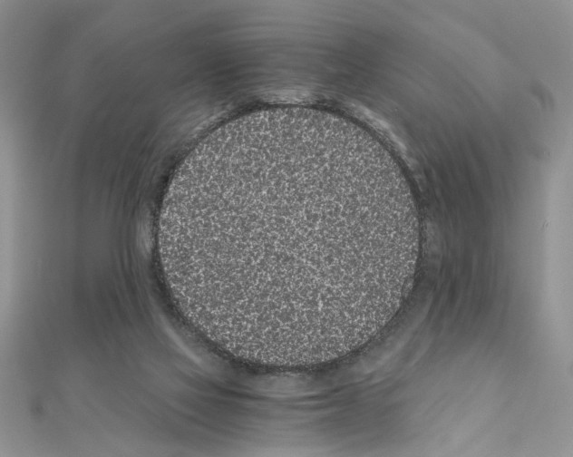 X0000110870069200907301422