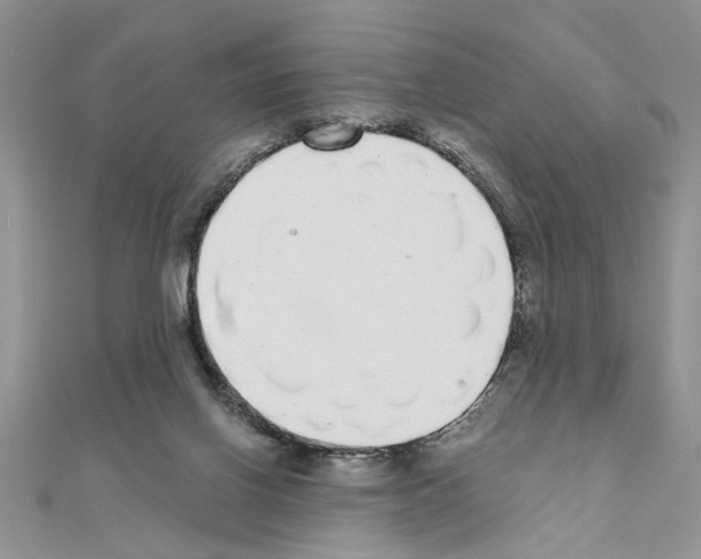 X0000110870070200907301422