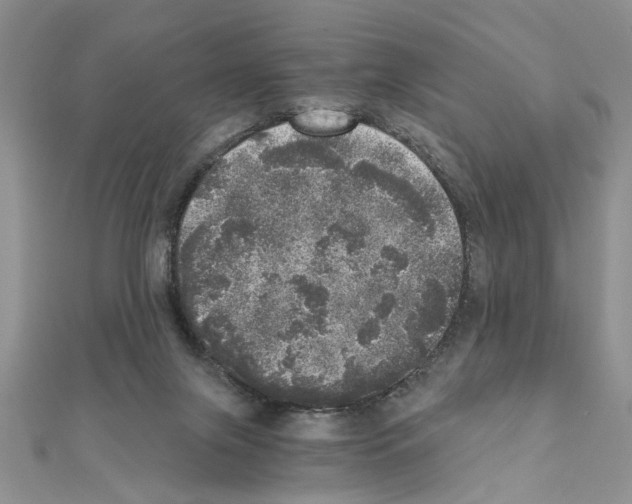 X0000110870071200907301422