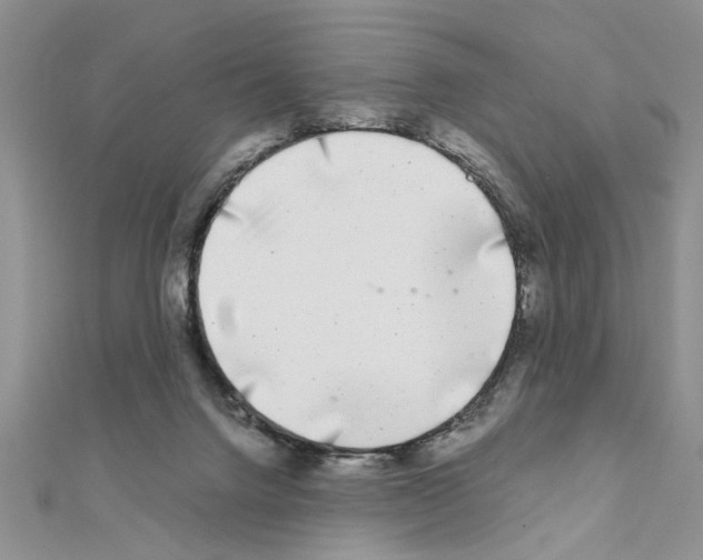 X0000110870072200907301422