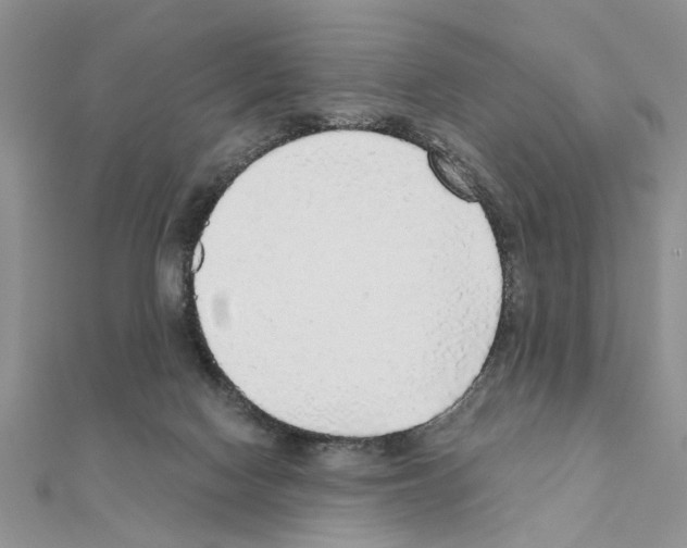 X0000110870074200907301422