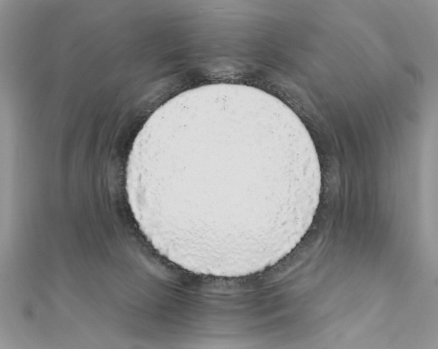 X0000110870081200907301422