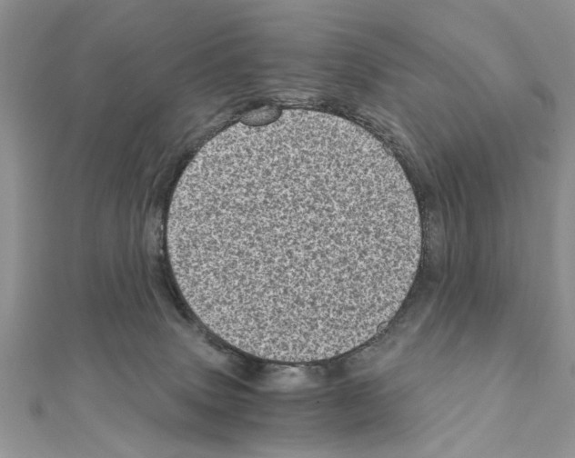 X0000110870083200907301422