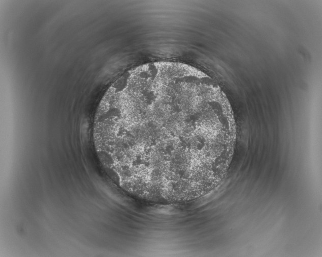 X0000110870086200907301422