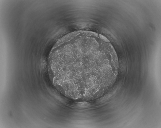 X0000110870087200907301422