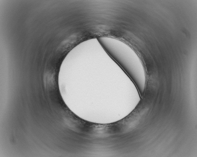 X0000110870088200907301422