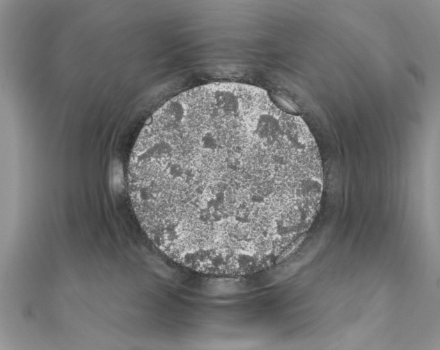 X0000110870089200907301422