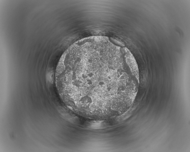 X0000110870090200907301422