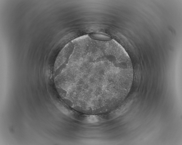 X0000110870091200907301422