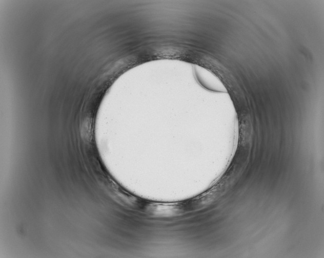 X0000110870093200907301422