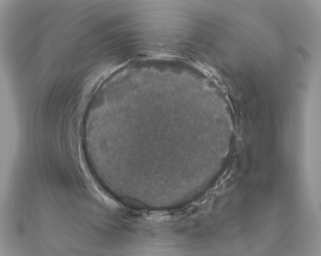 X0000110870097200907301421