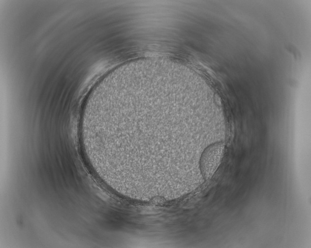 X0000110870098200907301421