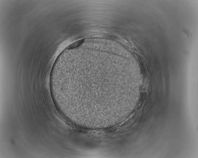 X0000110870099200907301421