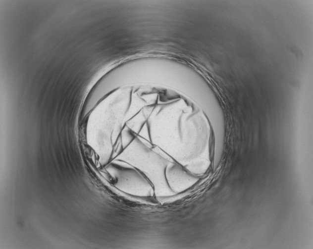 X0000110870100200907301421