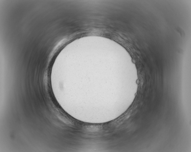 X0000110870102200907301421