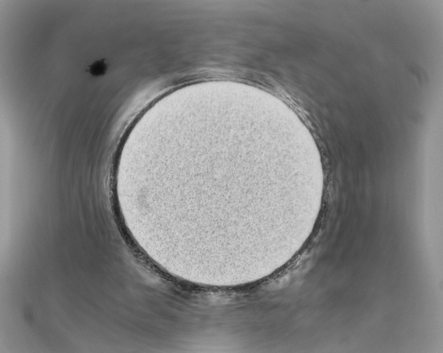 X0000110870103200907301421