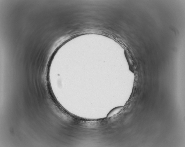 X0000110870104200907301421