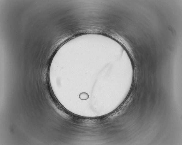 X0000110870105200907301421