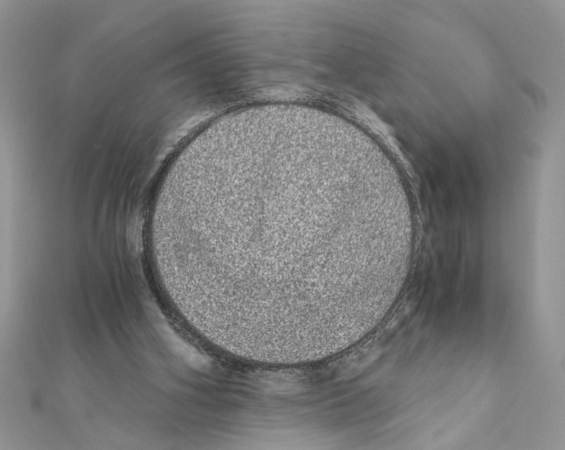 X0000110870106200907301421