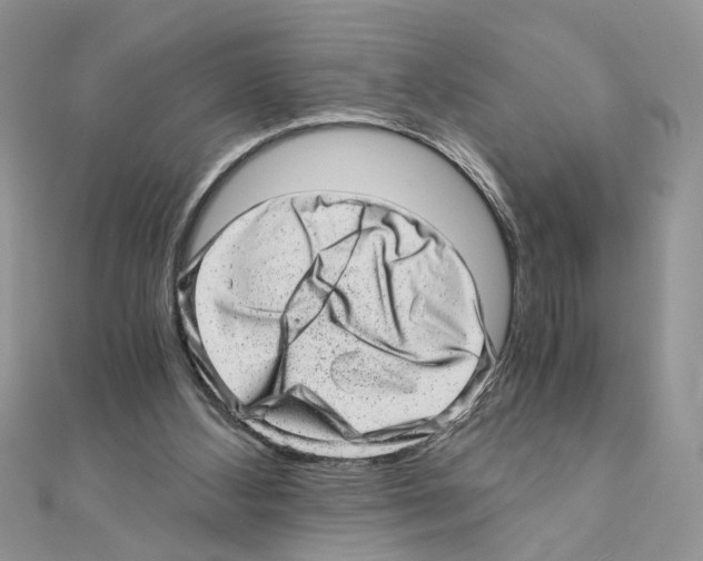 X0000110870108200907301421